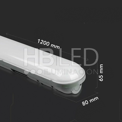 Equipo Estanco LED Integrado 36W 120cm (SKU:D1000001-D1000002-D1000021) https://www.hbled.cl/wp-content/uploads/2024/10/104174-3.jpg